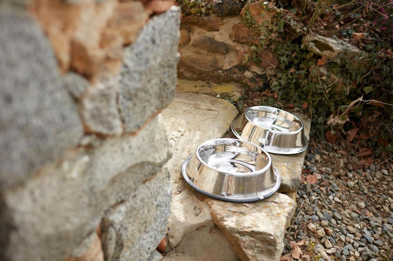 Villetta Con Giardino ⭑⭑⭑⭑⭑ - Wifi, Dogs Allowed Биела Екстериор снимка