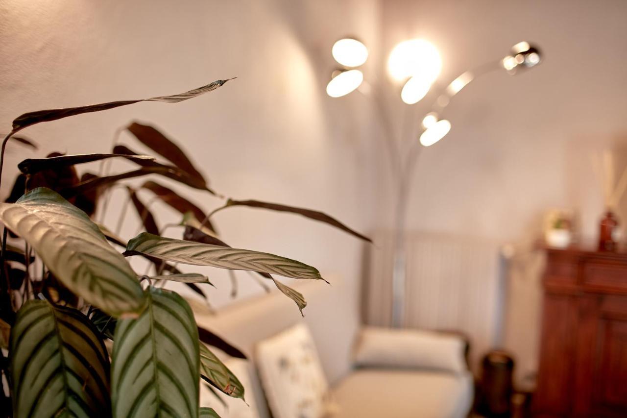 Villetta Con Giardino ⭑⭑⭑⭑⭑ - Wifi, Dogs Allowed Биела Екстериор снимка