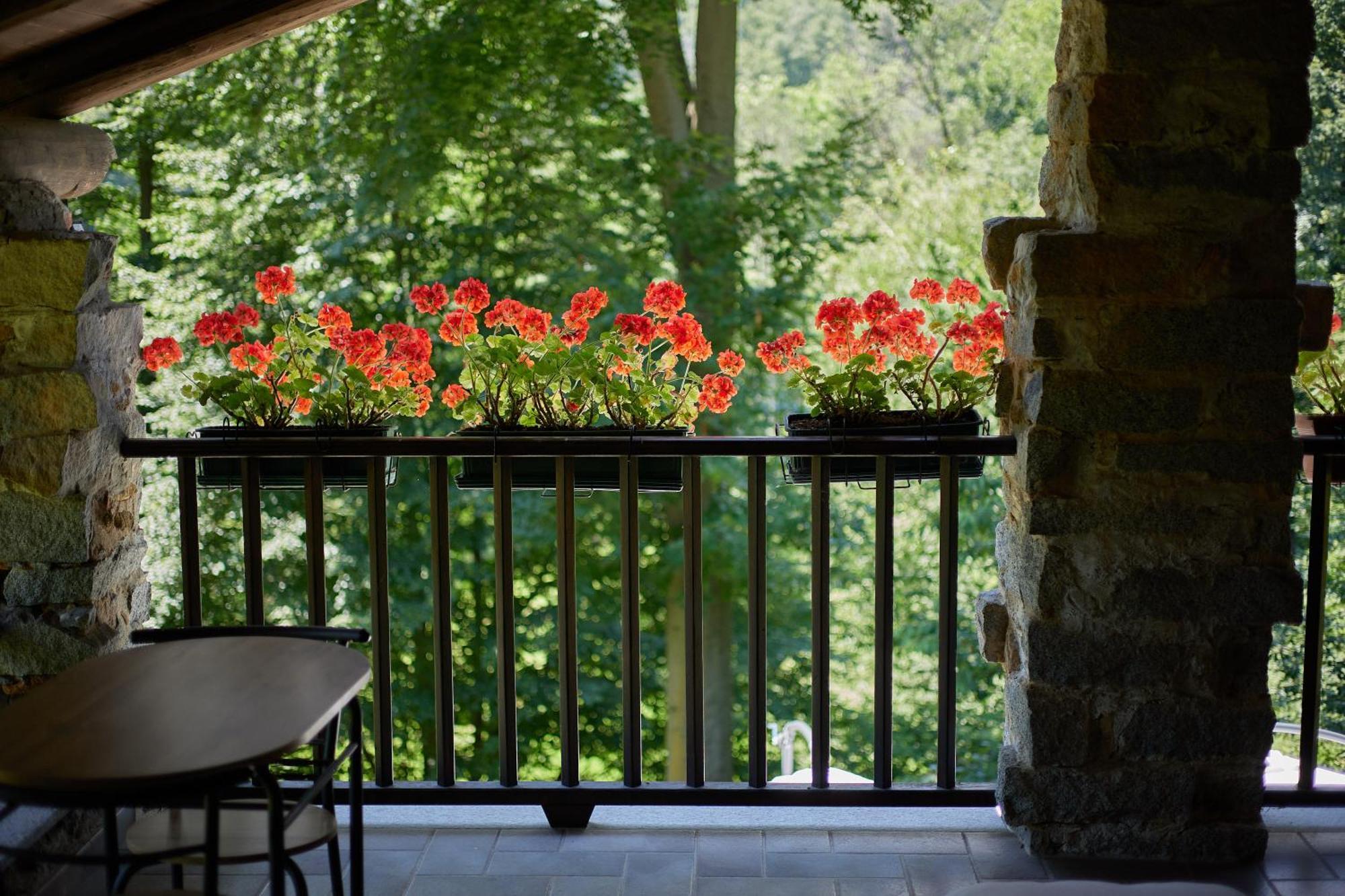 Villetta Con Giardino ⭑⭑⭑⭑⭑ - Wifi, Dogs Allowed Биела Екстериор снимка